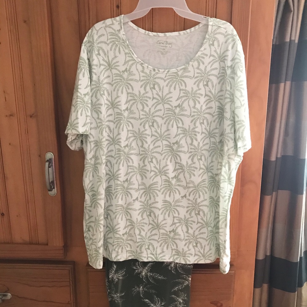 Capri pants and Top by Coral Bay.  Size 2x.